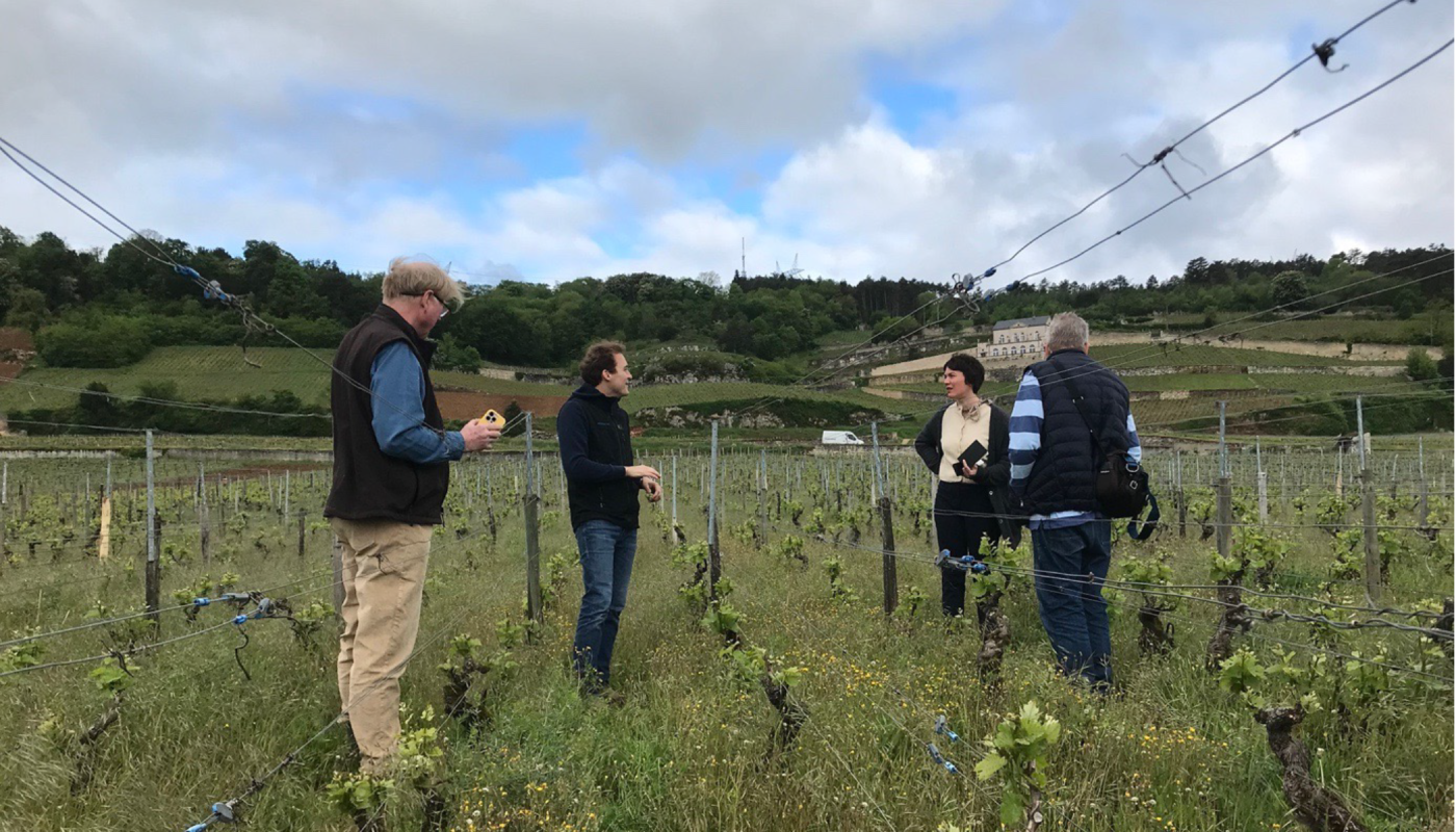 Journalists speaking with Charles Lachaux in his bio dynamically farmed vineyards in Burgundy