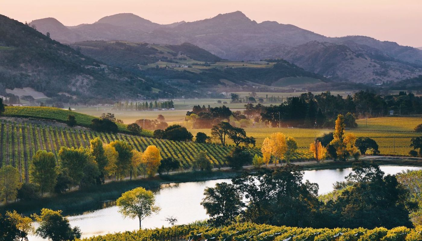 Quintessa estate