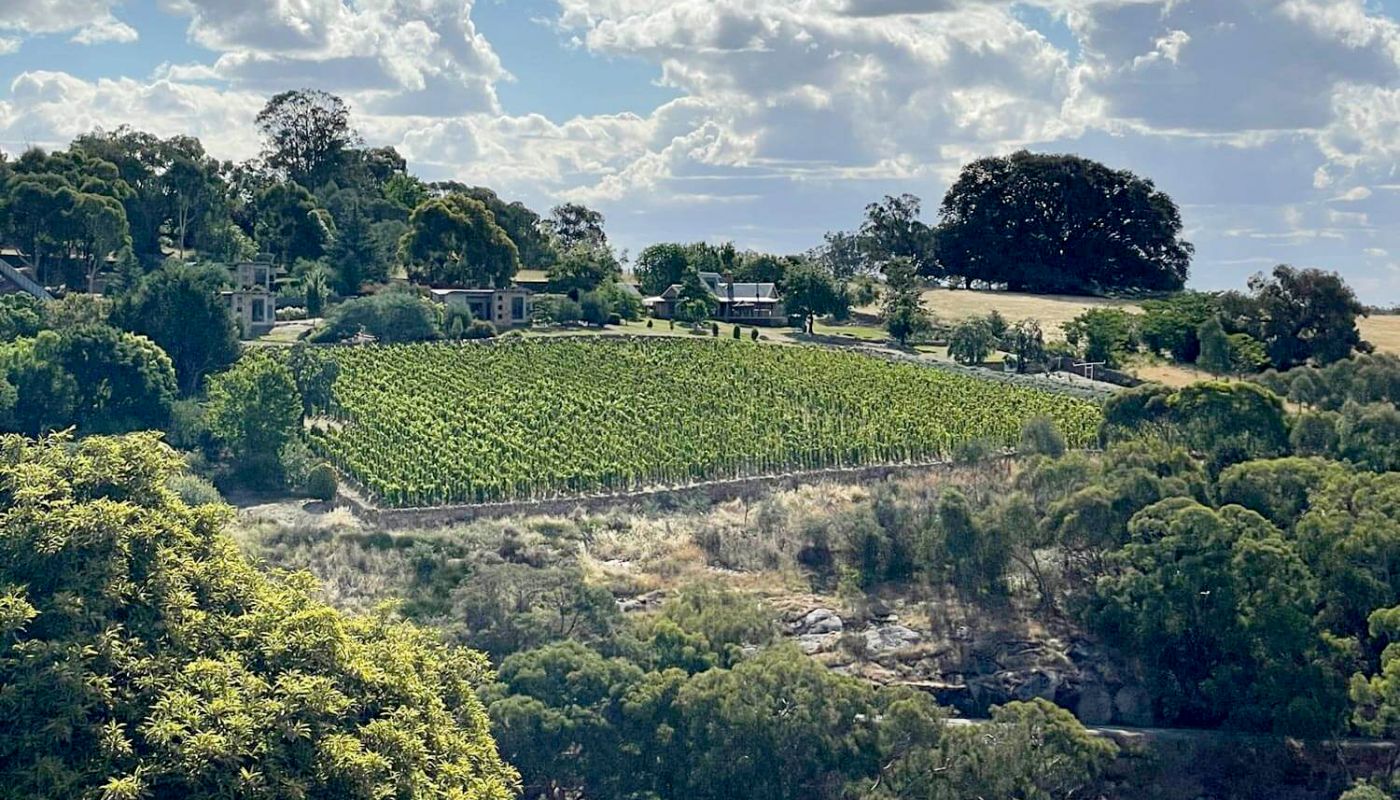 Granjoux vineyard