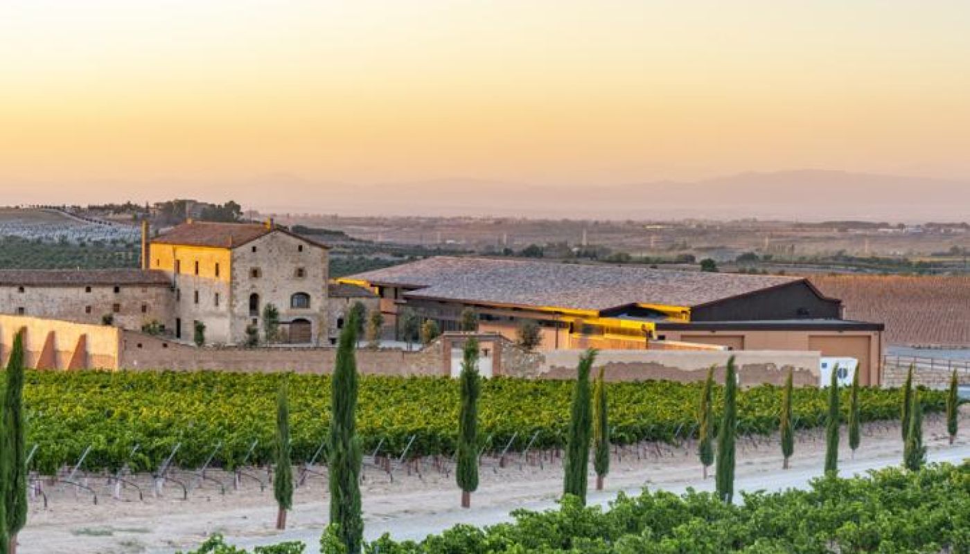The winery buildings of Torres Purgatori