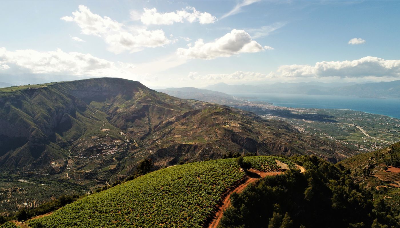 Rouvalis vineyards