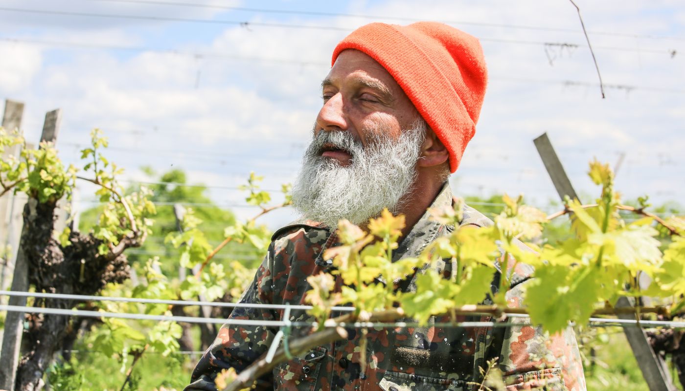 Pál Juhász in the vineyards of Tokaj