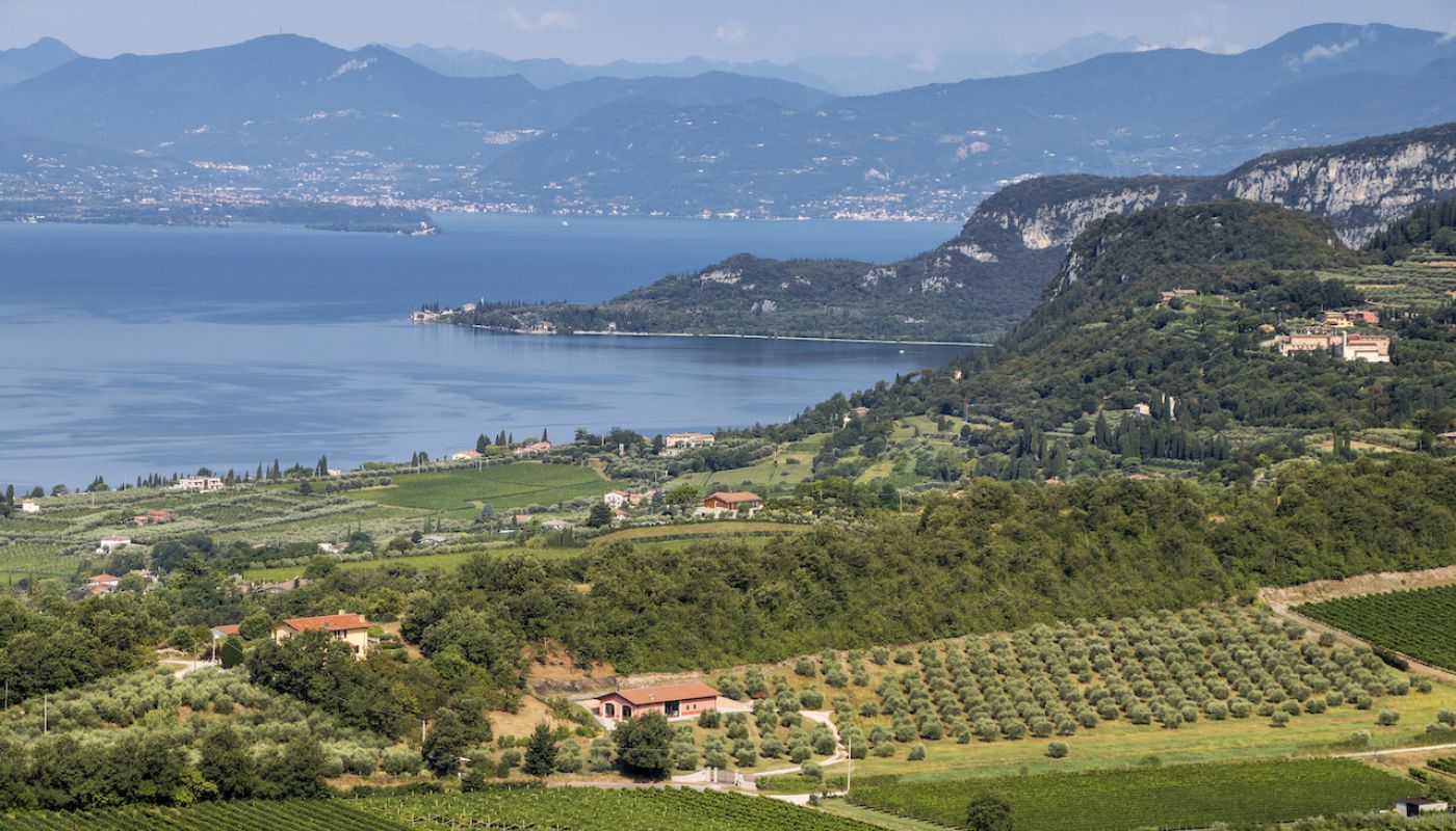 bardolino-studio-cru-la_rocca-main