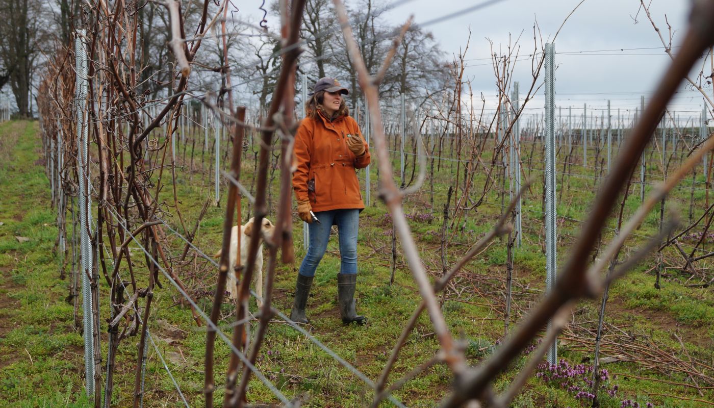 Zoë Evans and her dog Hux tending to the vines at Rowton Vineyard