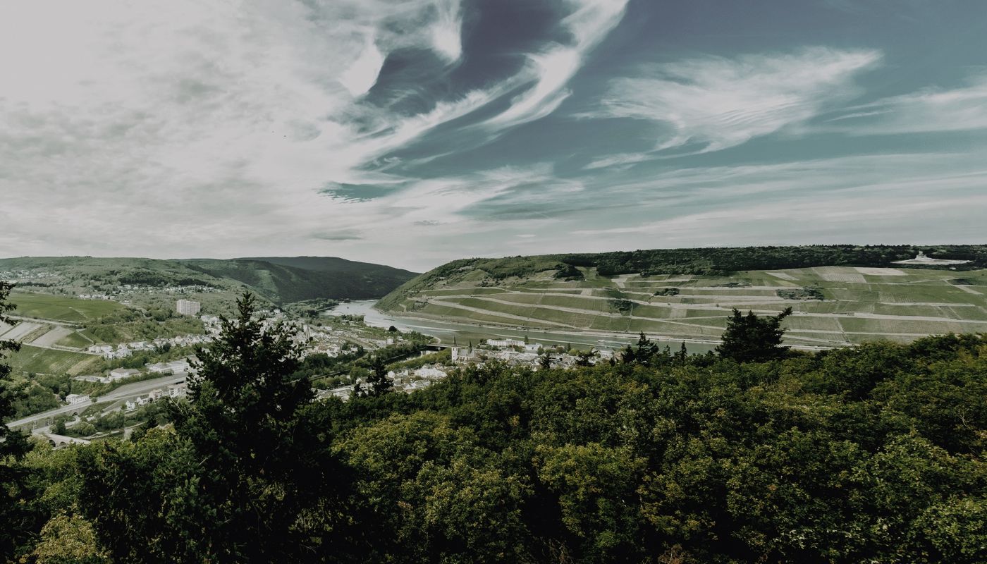 A panoramic shot of Weingut Riffel's Bingen vineyards in Germany