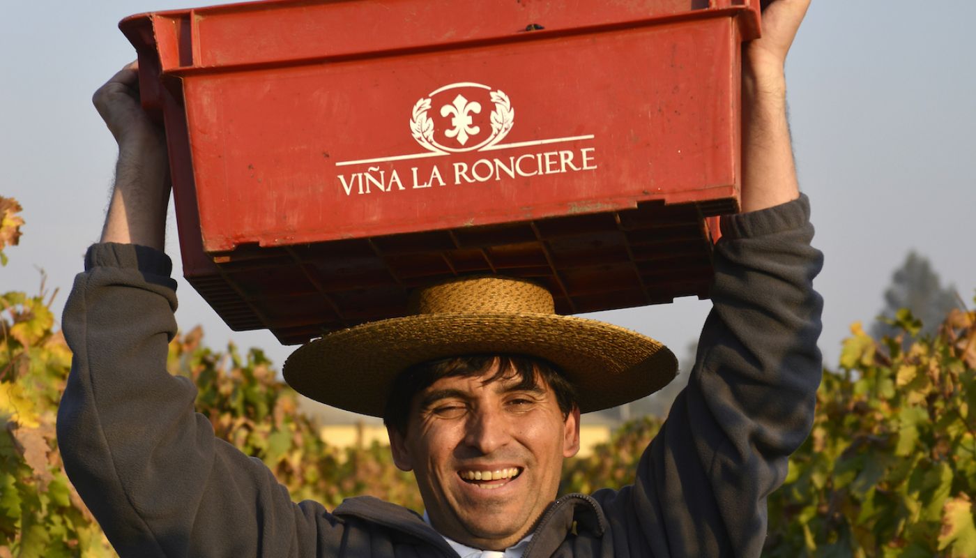 La Ronciere picker