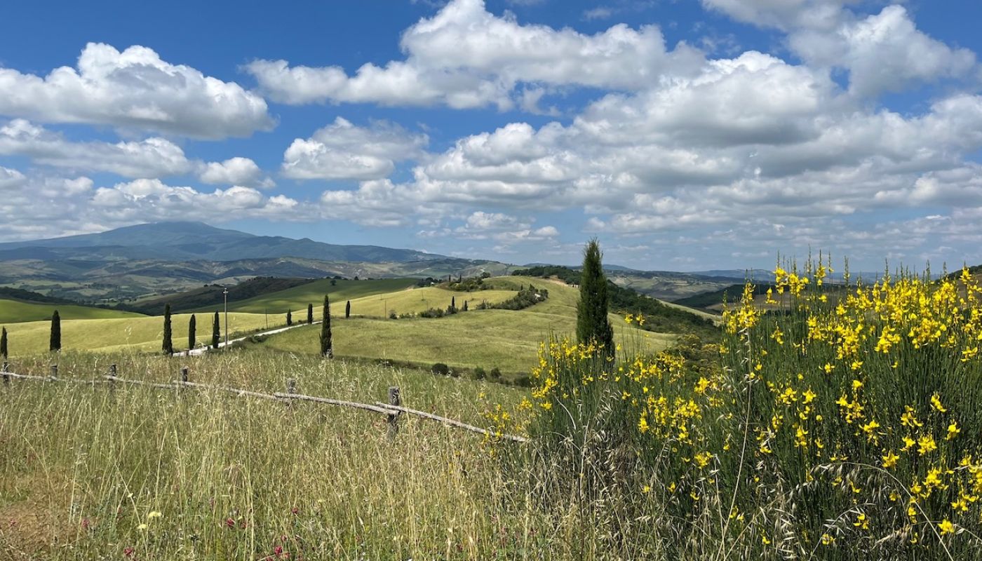 Monte Amiato from Trinoro