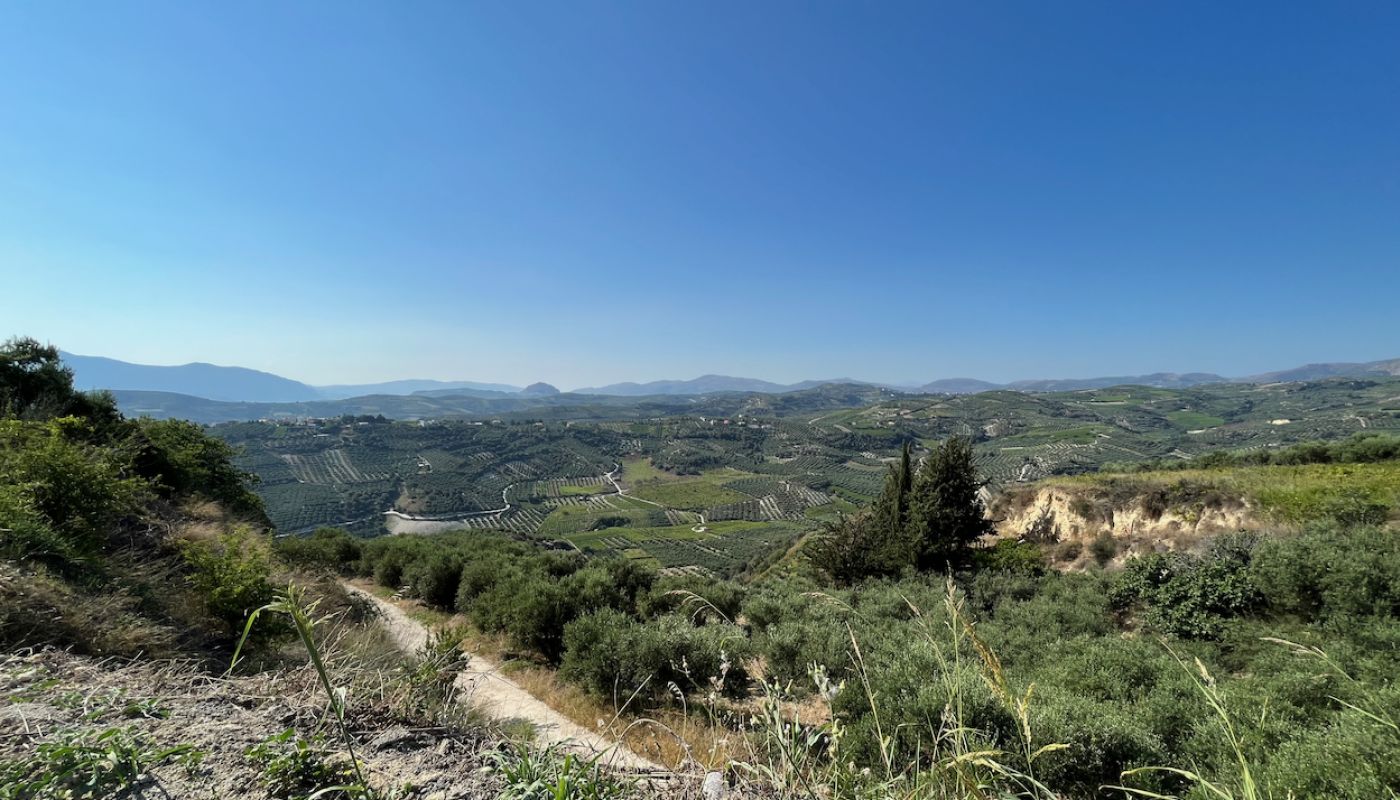 Dafnes region