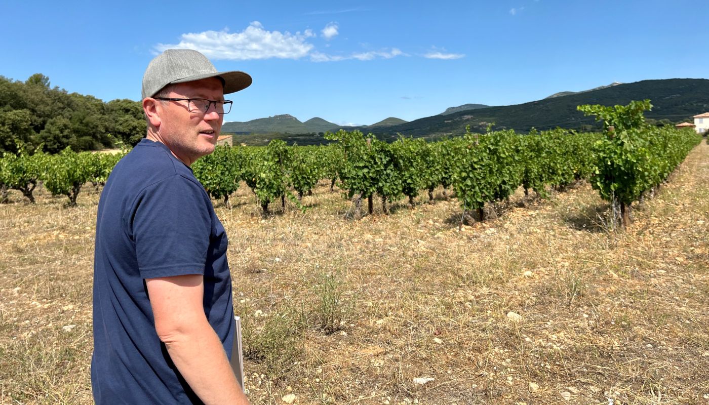 Olivier Faucon in Mas Combarèla vineyards