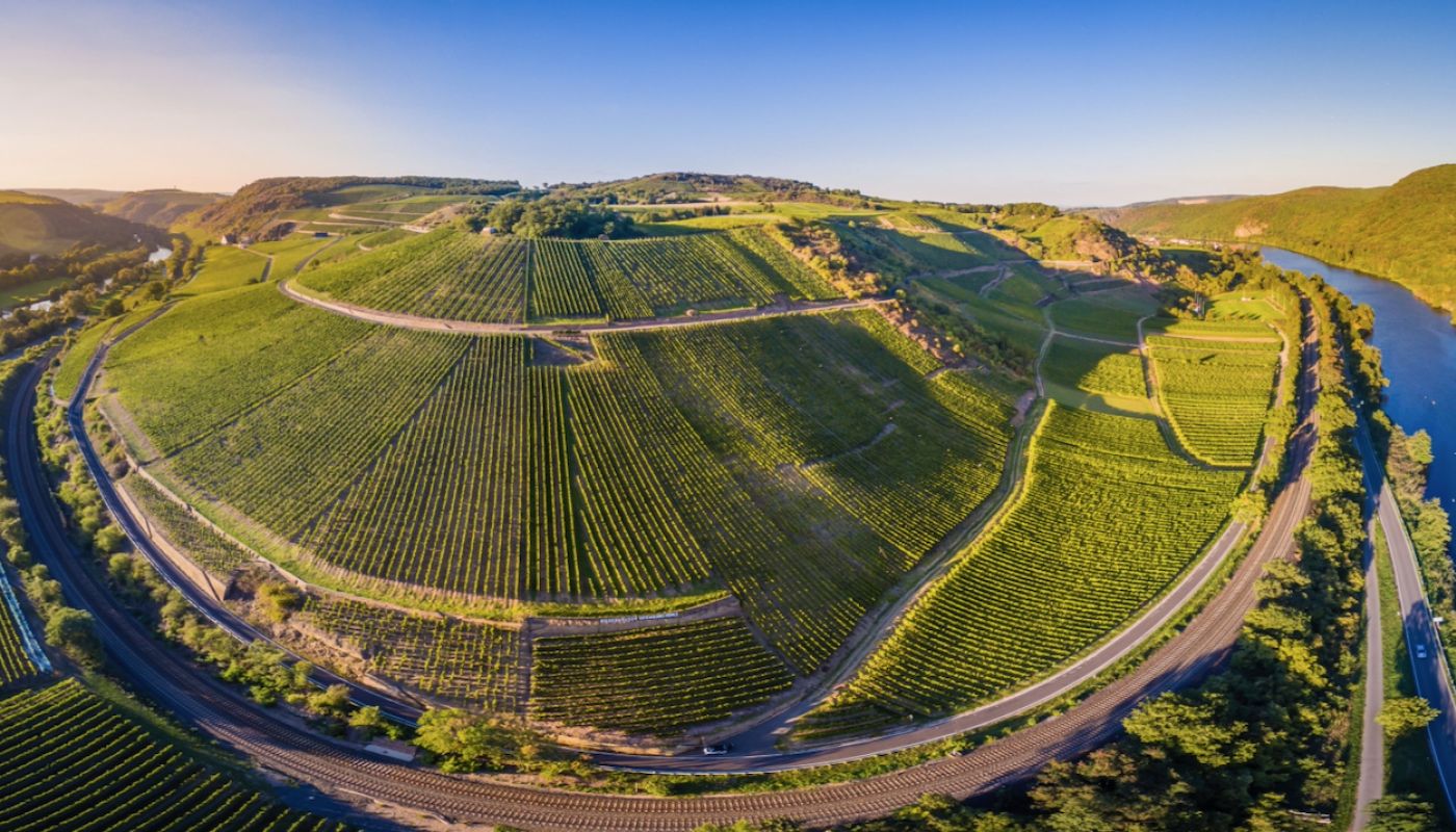 Hermannshöhle vineyard