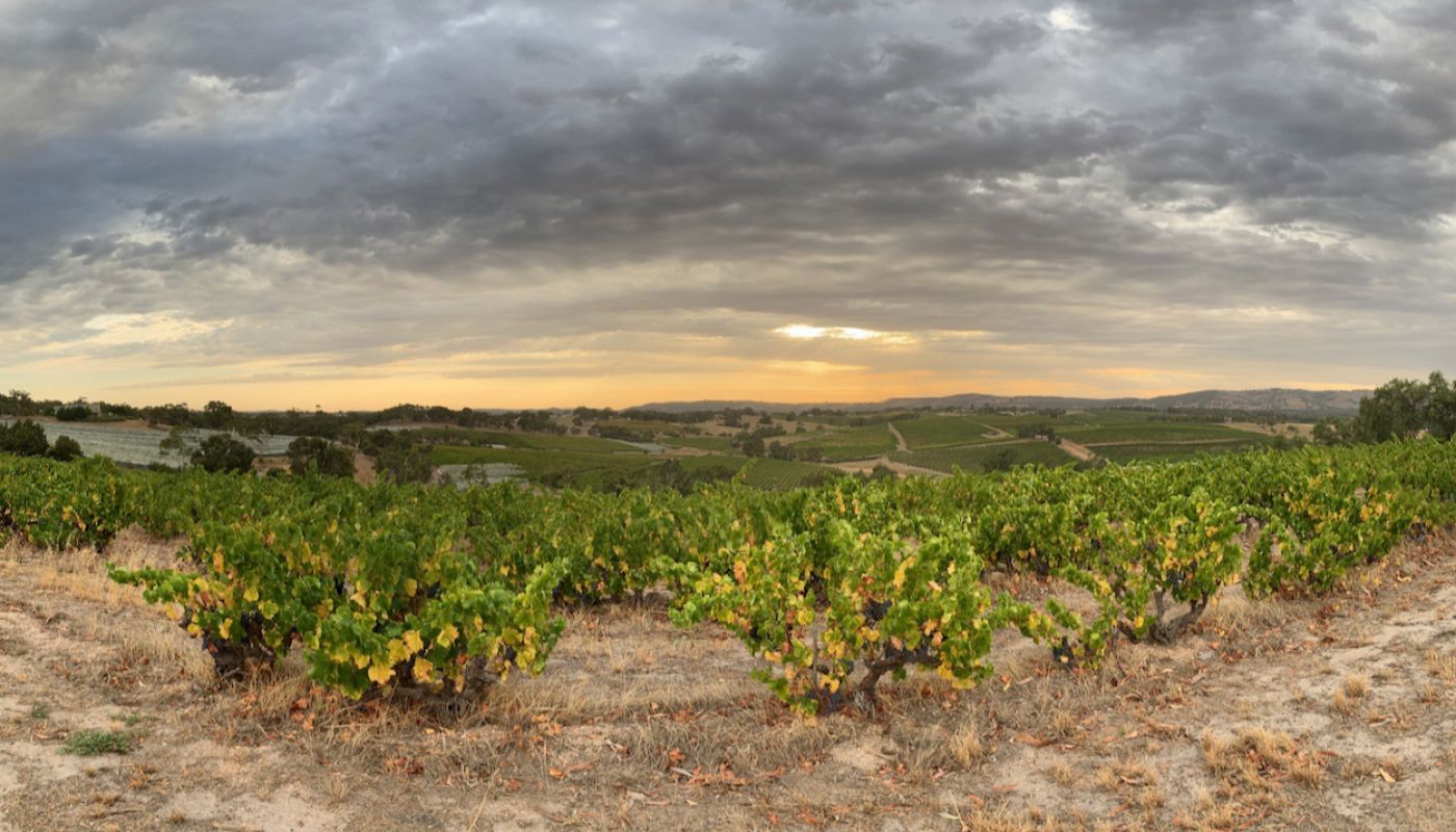 Blewitt Springs Sands of Time Grenache