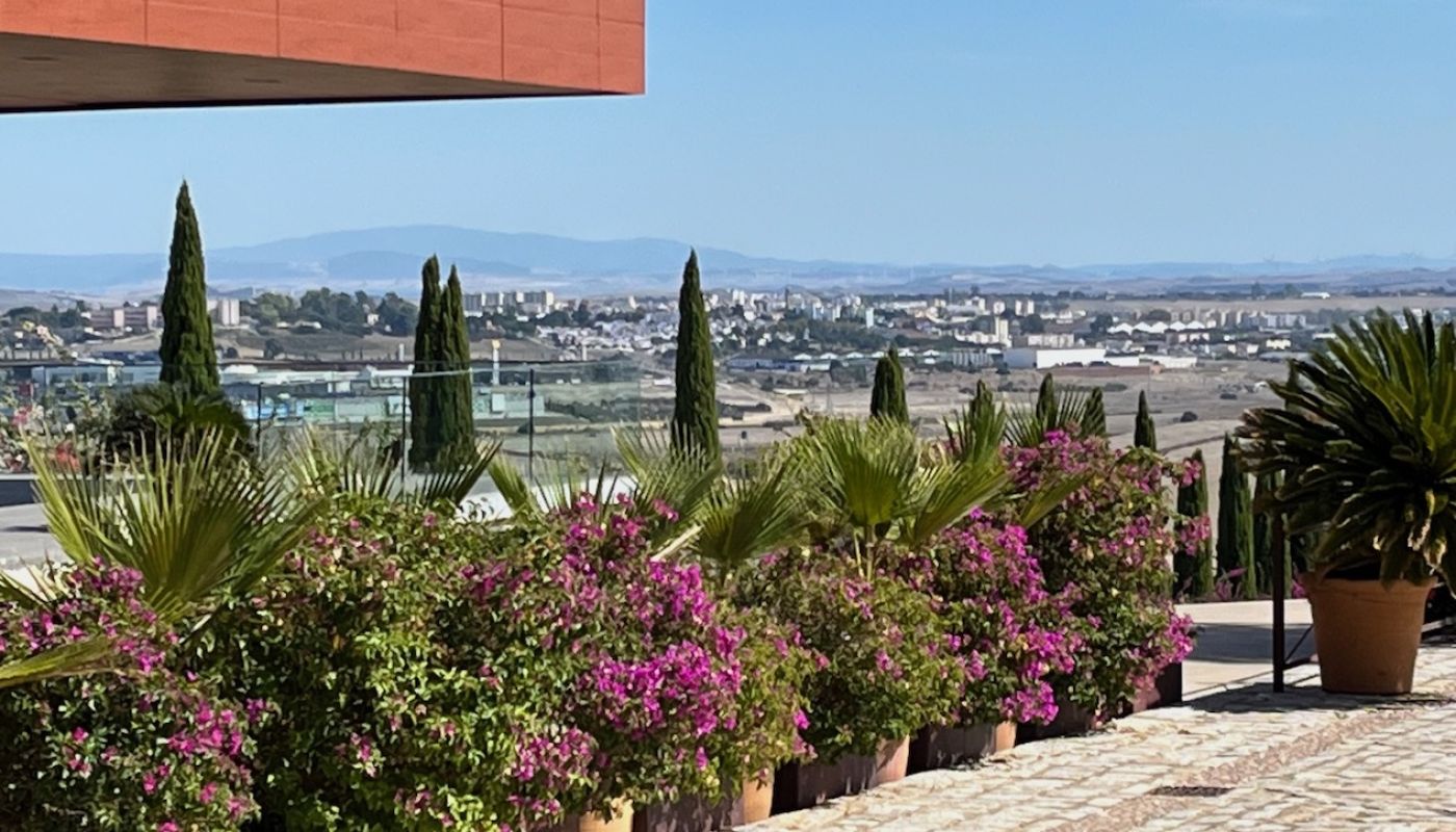 View of Jerez from Luis Perez bodega