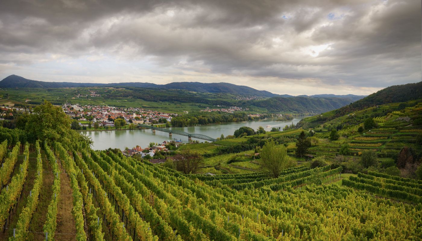 Grillenparz vineyard