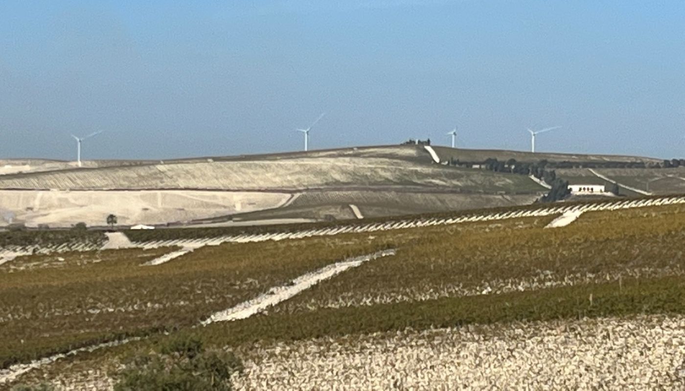 Albariza in Jerez