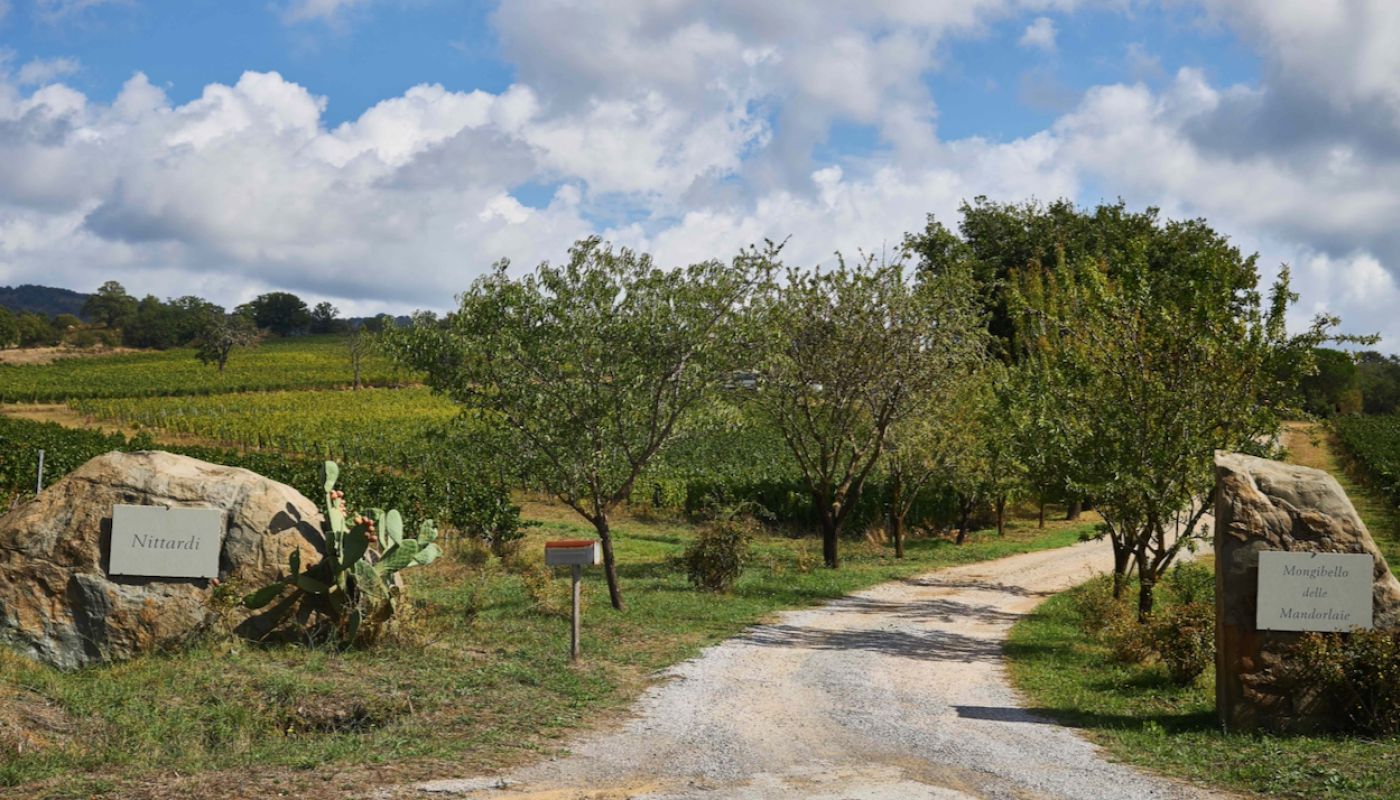 Nittardi in the Maremma