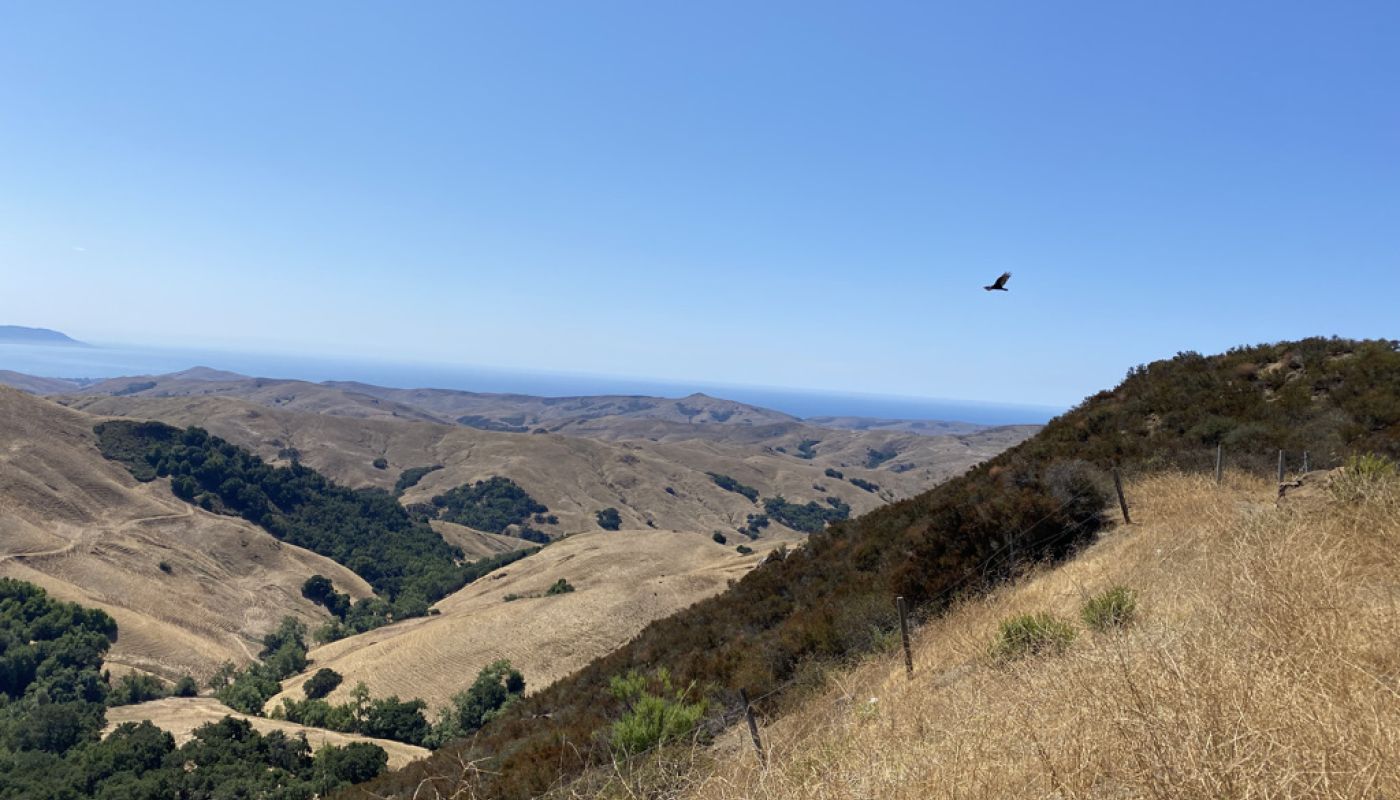 view towards Cayucos