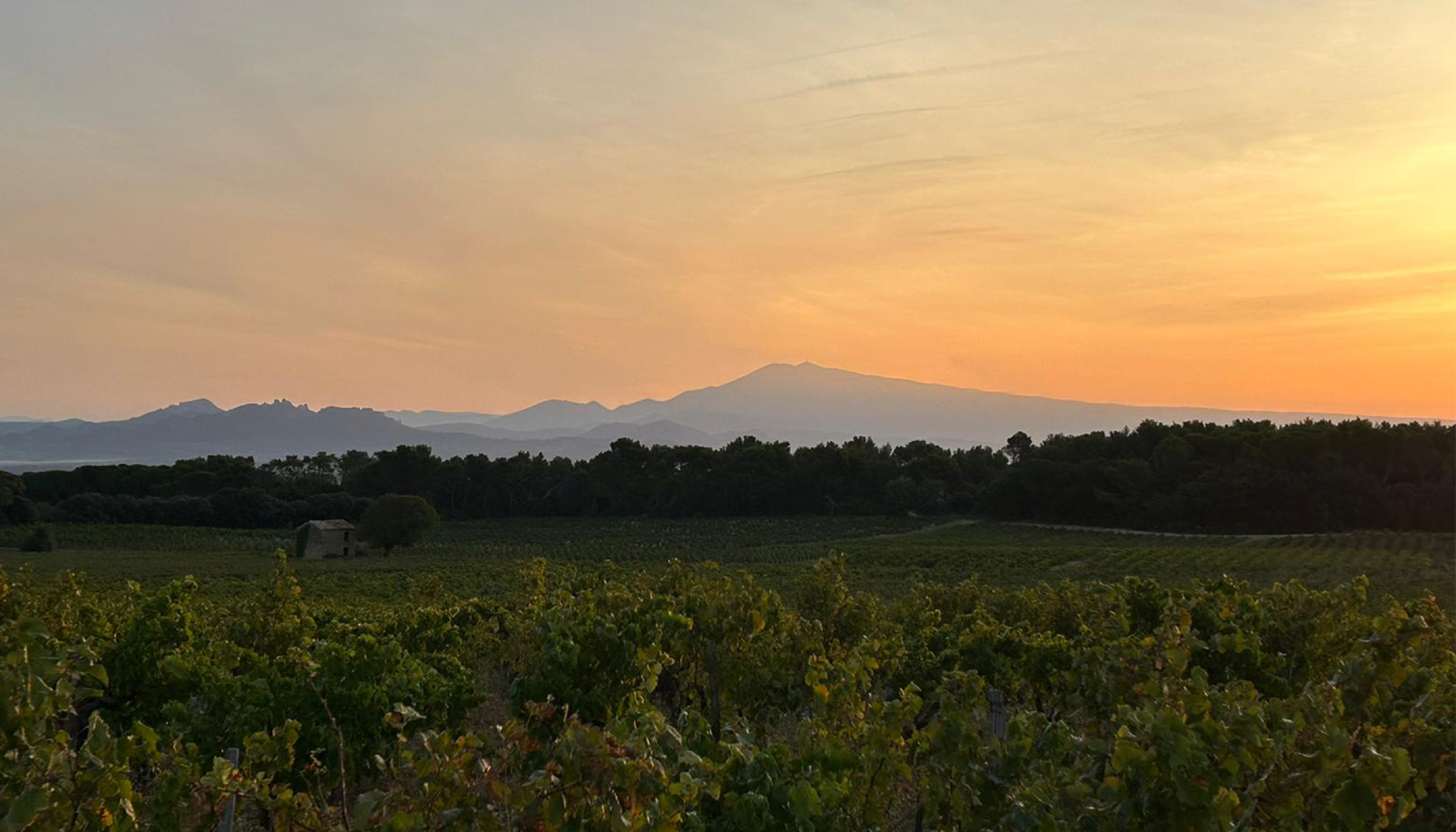 Sunrise over Châteauneuf-di-Pape