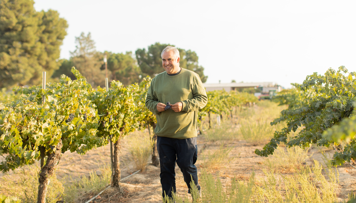 Andrew Jones walking through a vineyard