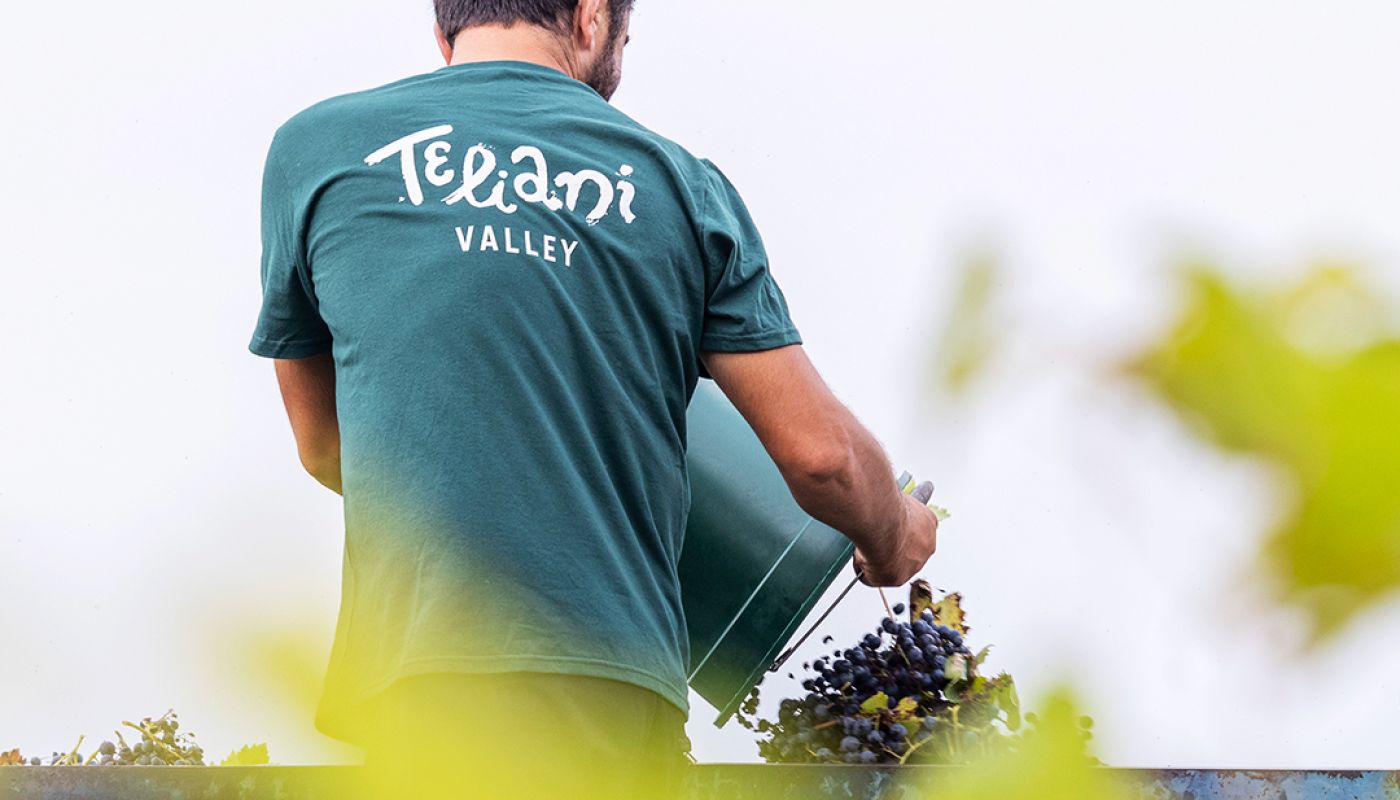 Teliani harvester