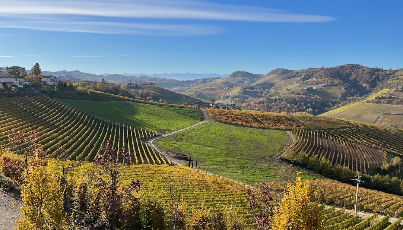 View from Massolino in Serralunga d'Alba