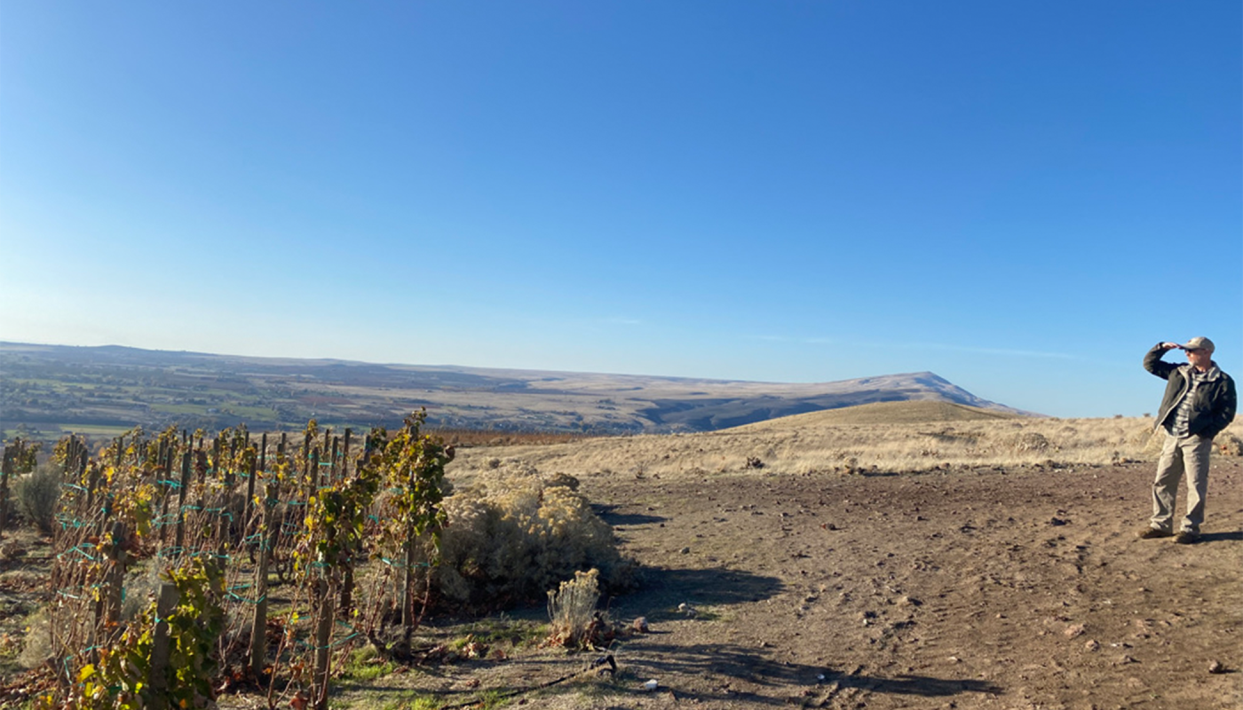 Viticulturist Ryan Johnson surveys WeatherEye vineyard in Washington State
