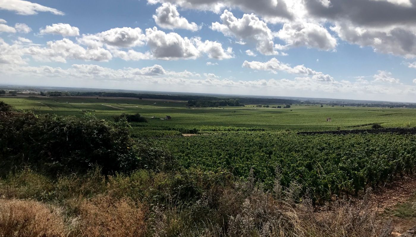 Gevrey-Chambertin looking south September 2022