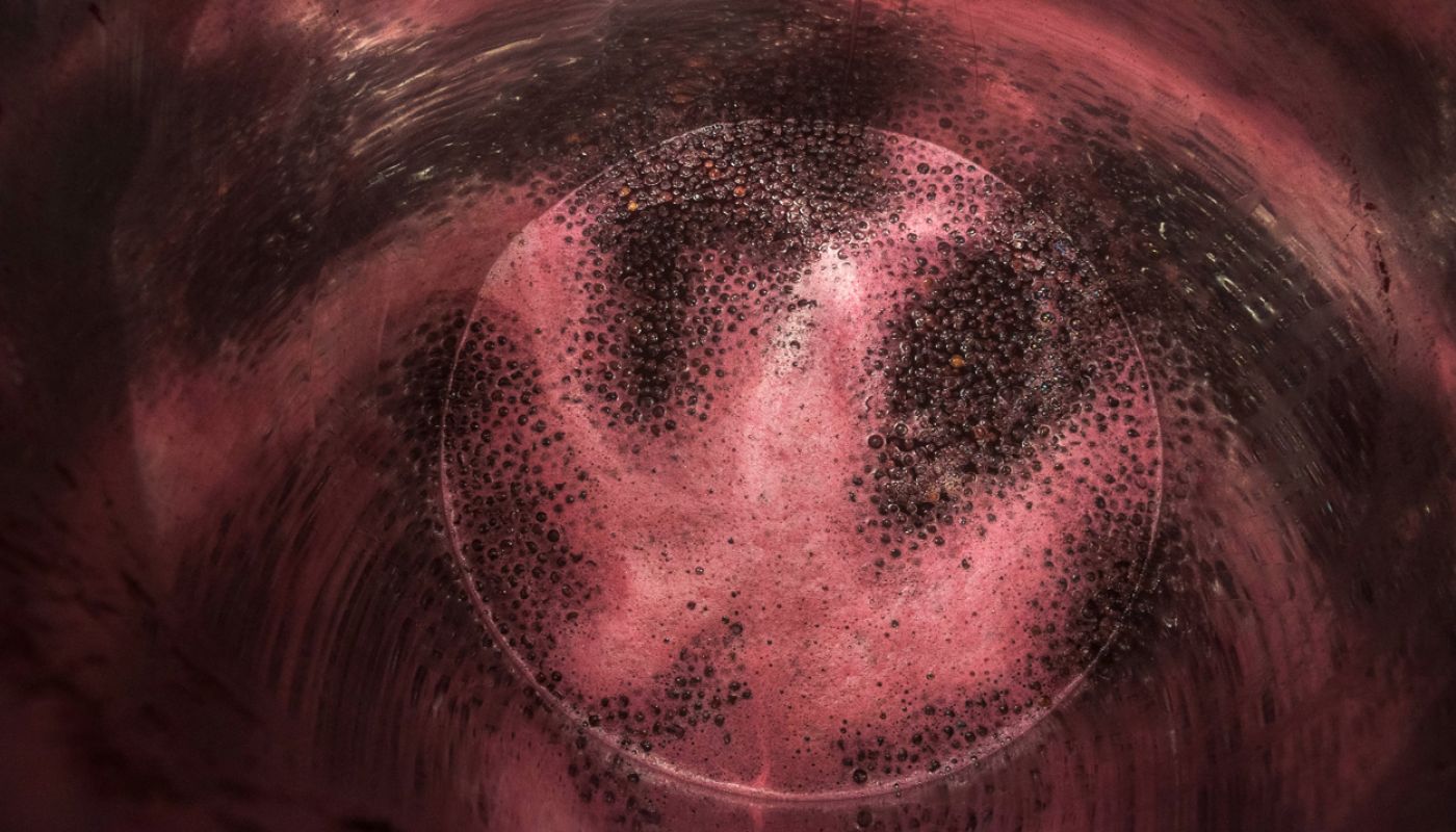 fermenting Pinot Noir, photo by Jon Wyand