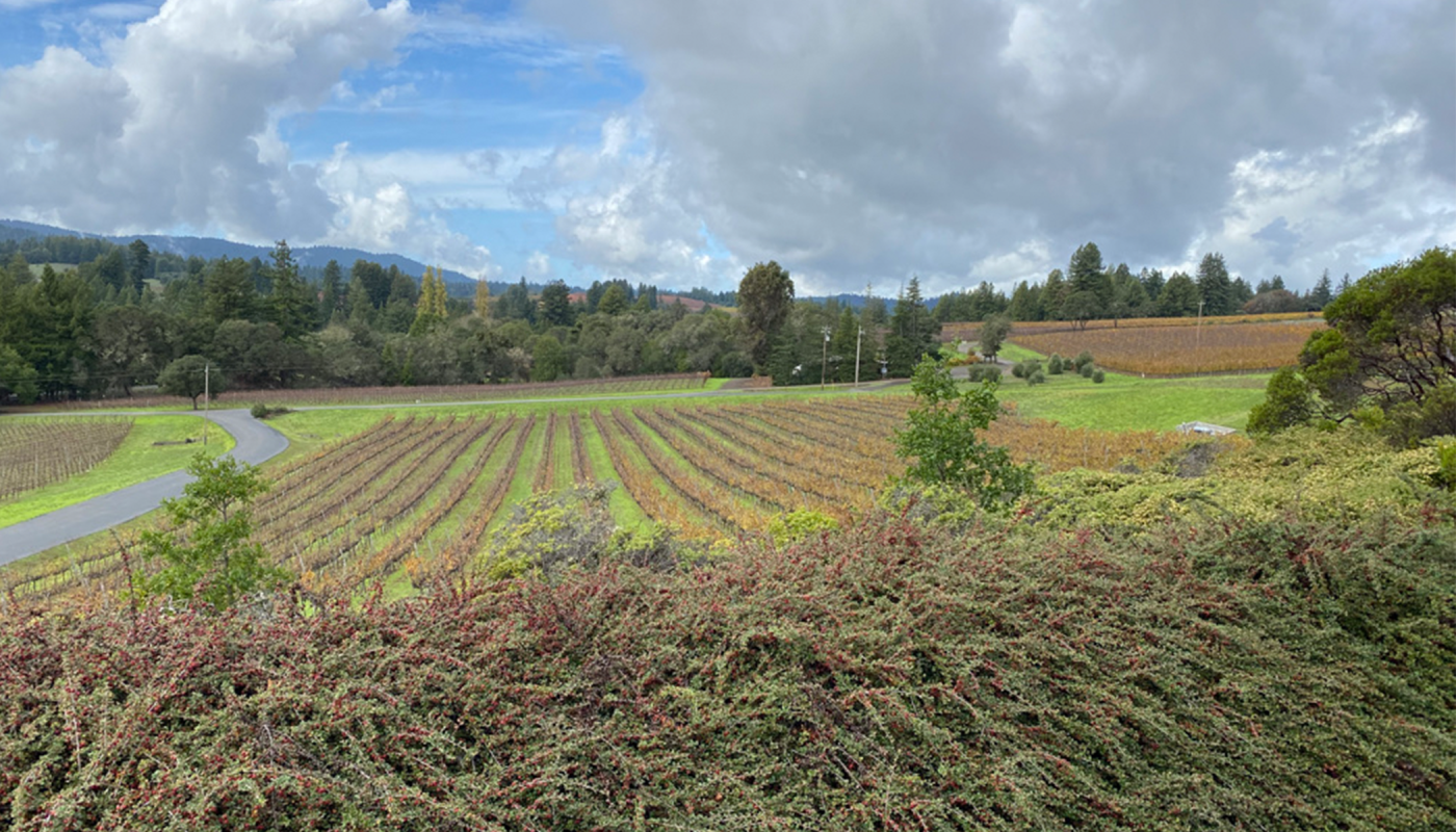 Roederer Estate