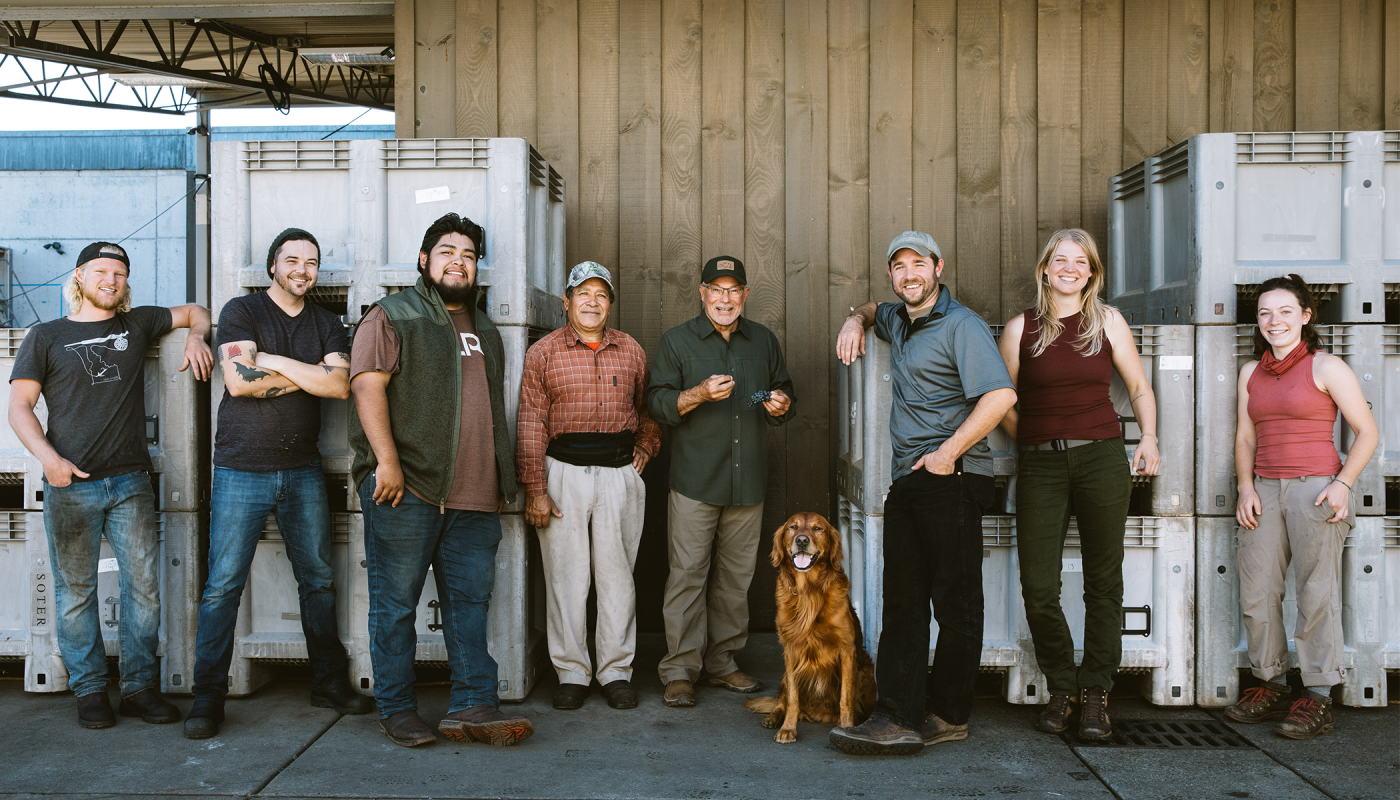 Tony Soter and harvest crew, 2020