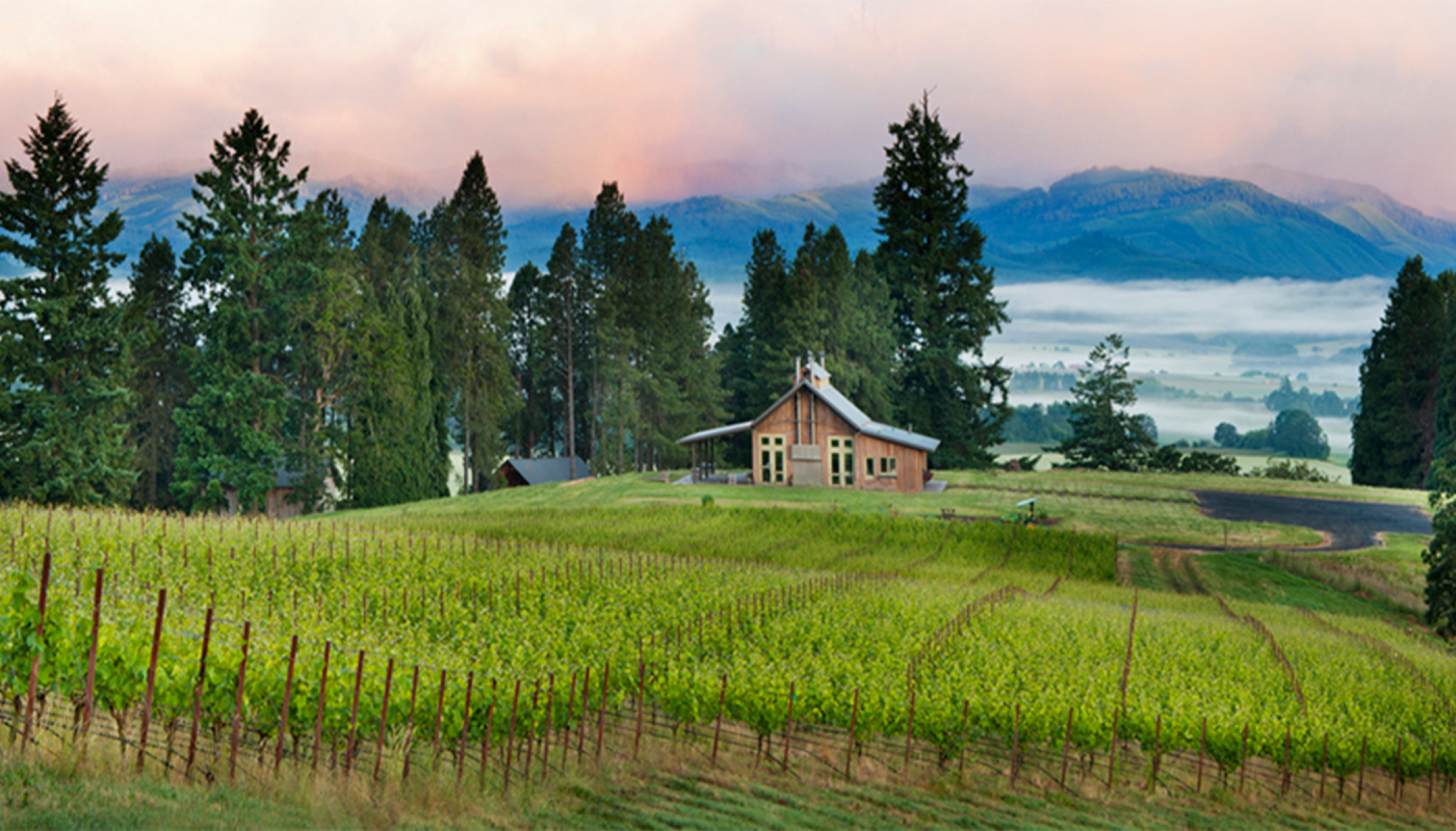 Soter Vineyards at morning; photo by James Pipkin