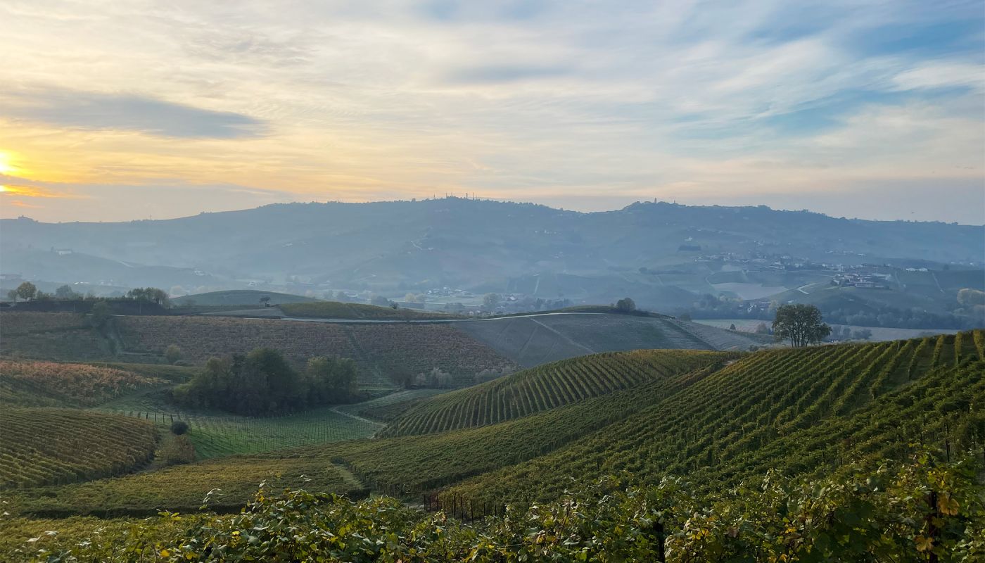 View from Castiglione towards La Morra