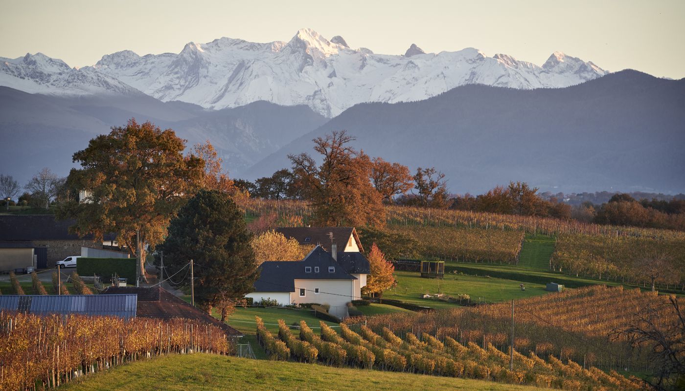 Jurançon © Pierre Carton