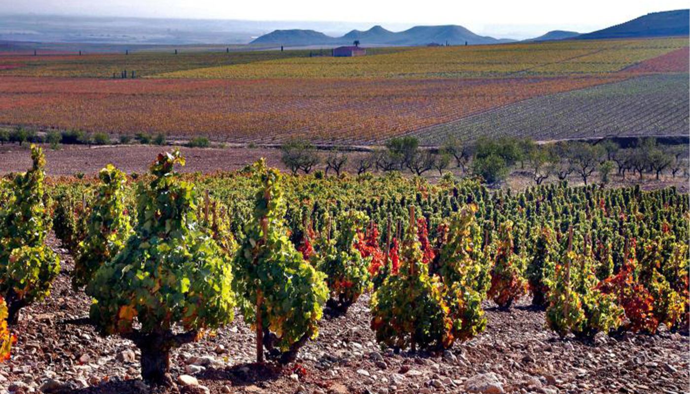 the La Montesa vineyard in Rioja