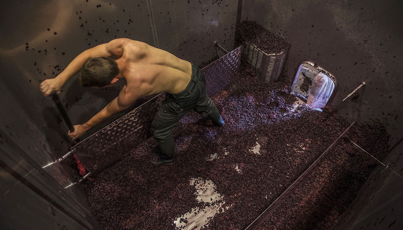 cleaning tank - image by Jon Wyand