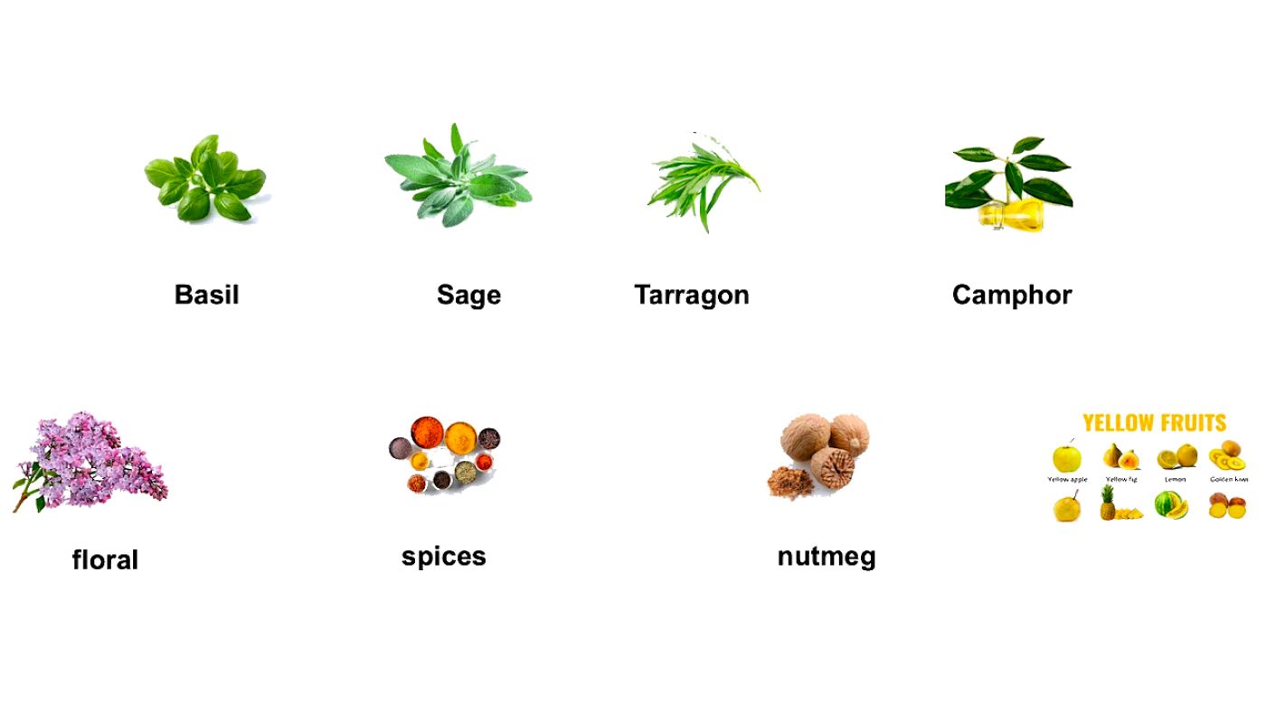 Zelen tasting descriptors