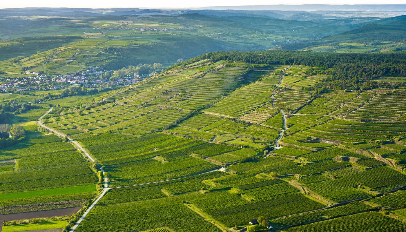 An aerial view of Heiligenstein and Lamm vineyards