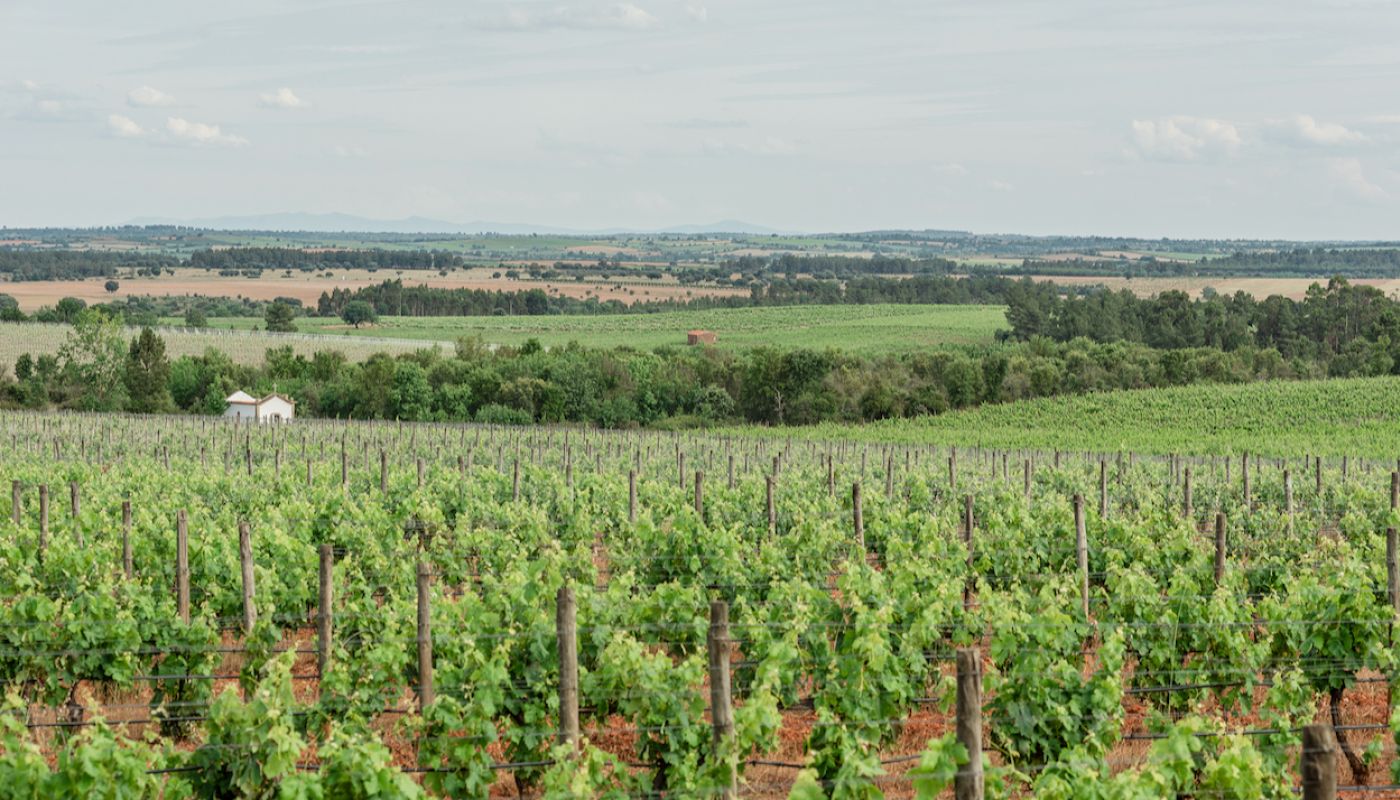 Quinta do Cordo