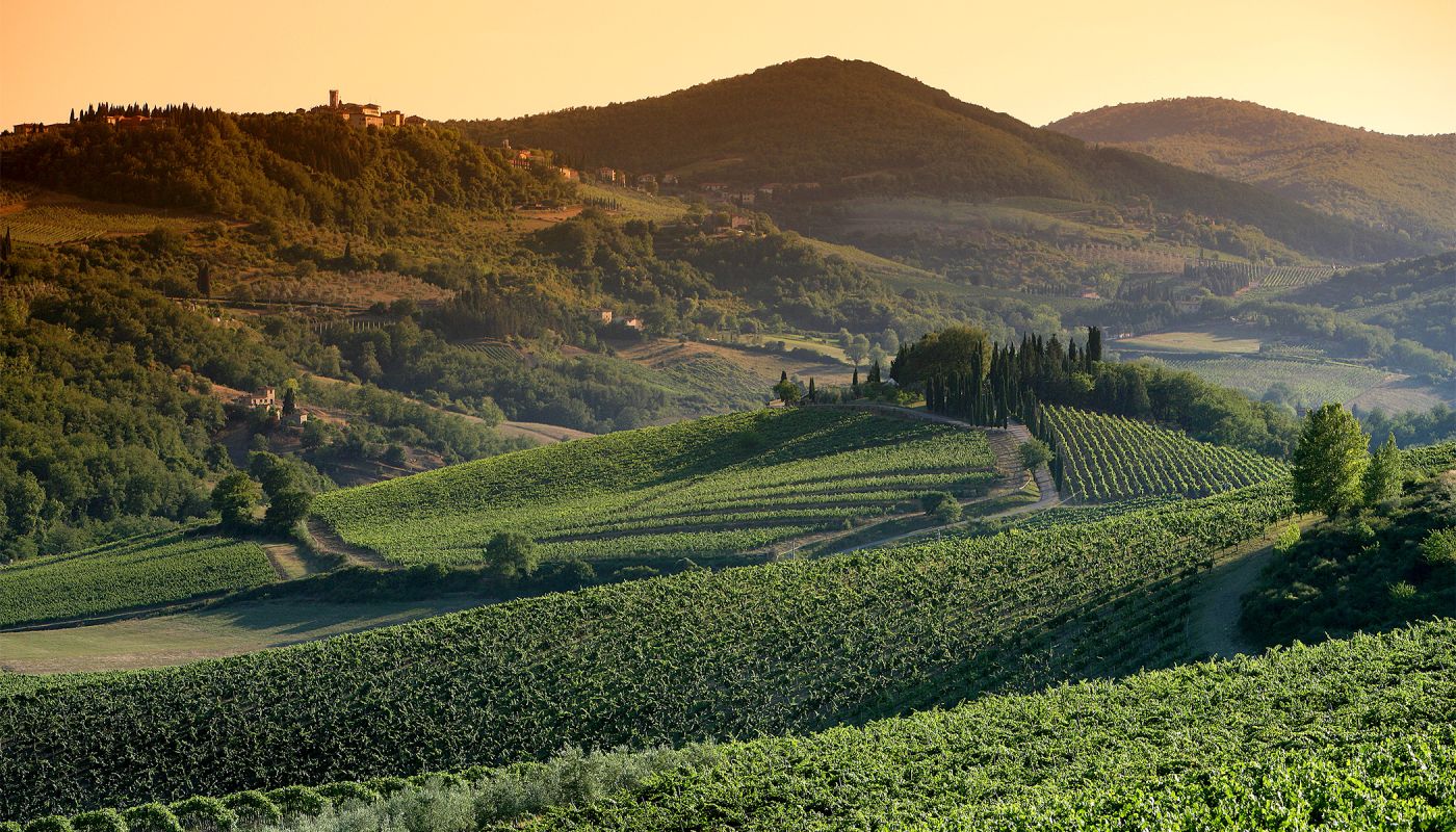 Radda in Chianti and vineyards