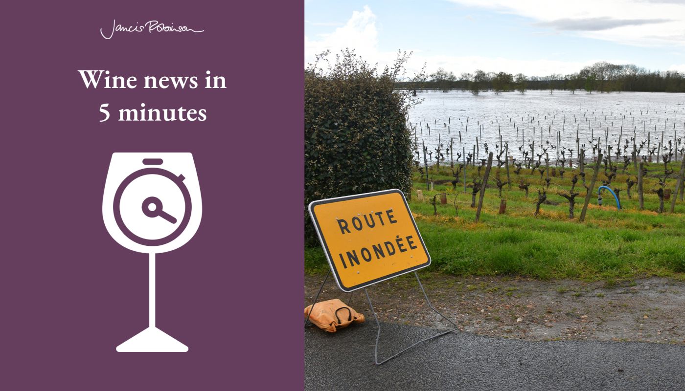 This photograph taken on March 31, 2024, shows a view of flooded vineyards due to the overflowing of the Vienne river, in Chinon, western France. More than a hundred people were evacuated from their homes in Indre-et-Loire and Vienne, and a kayaker was reported missing in Haute-Vienne, following heavy river flooding in west-central France since March 30, 2024. (Photo by Pascal LACHENAUD / AFP) (Photo by PASCAL LACHENAUD/AFP via Getty Images)