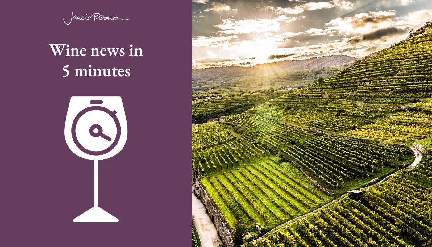 Wachau's Achleiten vineyard
