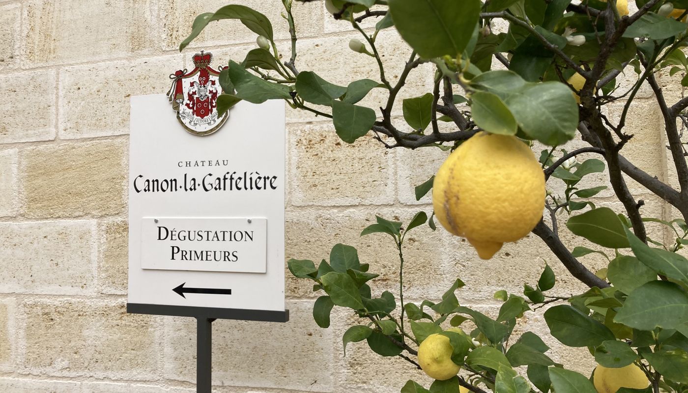 lemon tree at Canon-la-Gaffelière