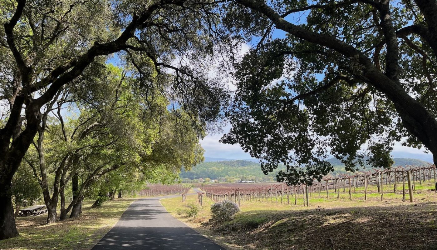 Vine Hill Ranch in April 2024