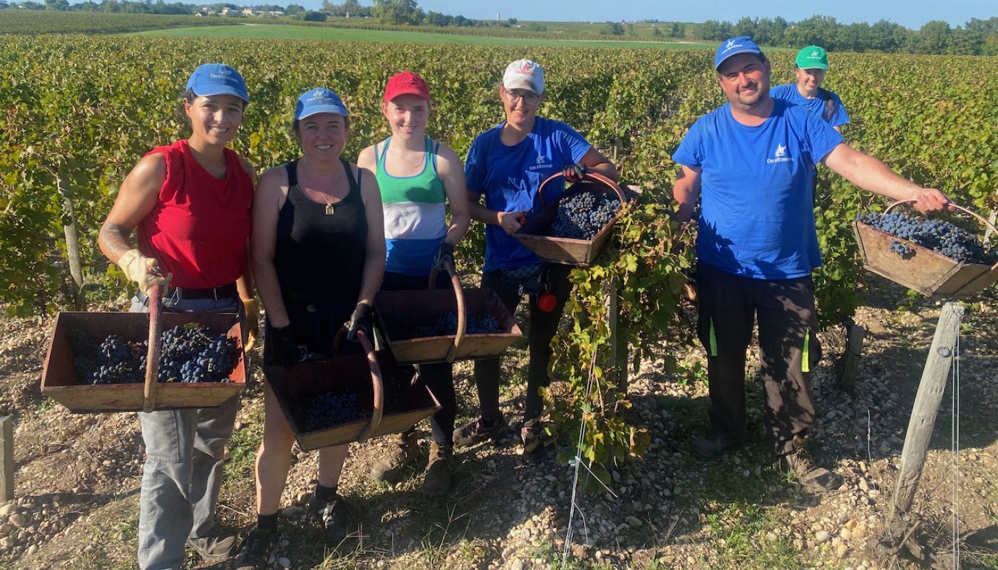 Bordeaux 2023 harvesters at Cos d'Estournel