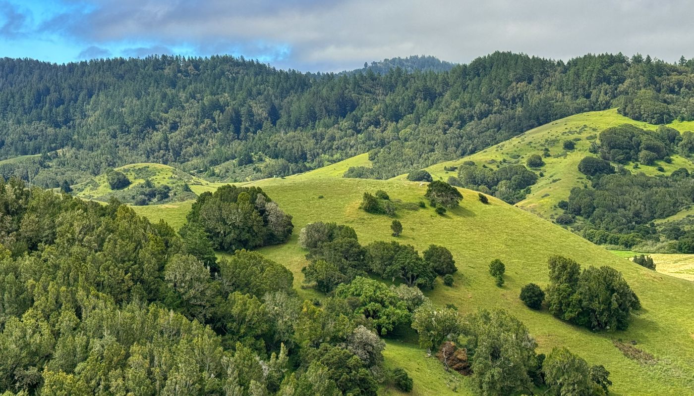 Marin landscape