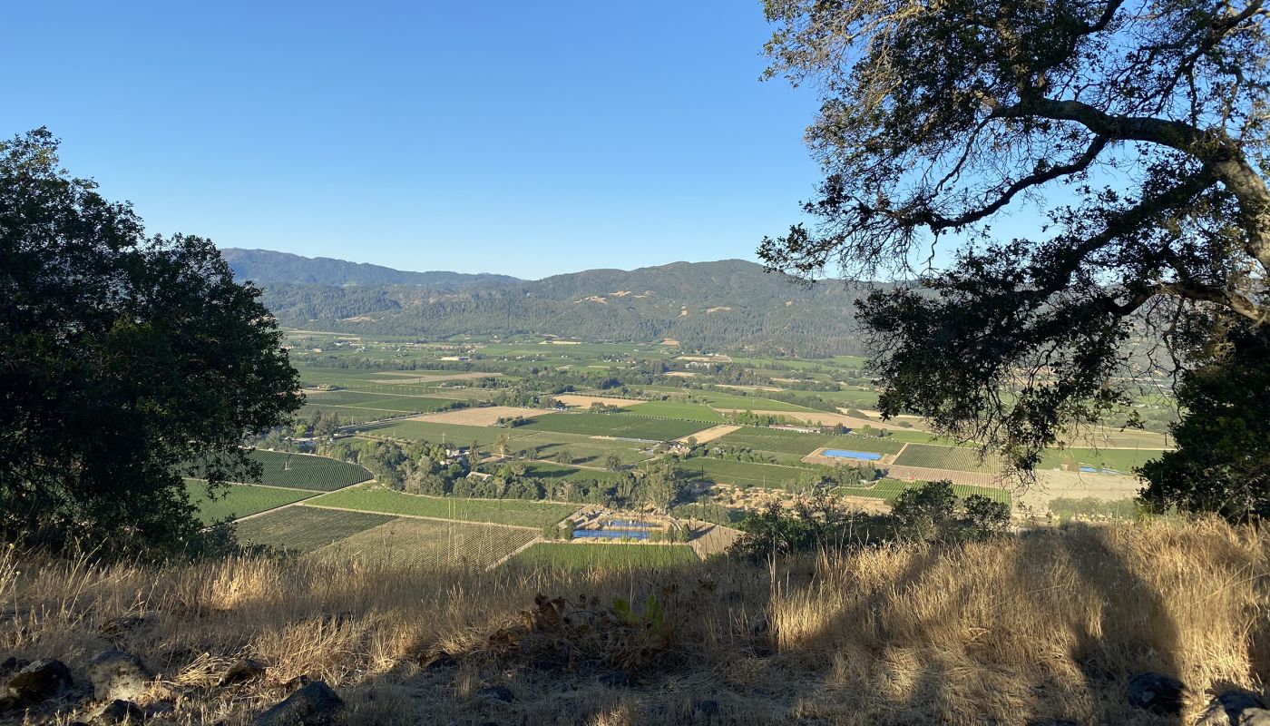 Napa Valley 2021