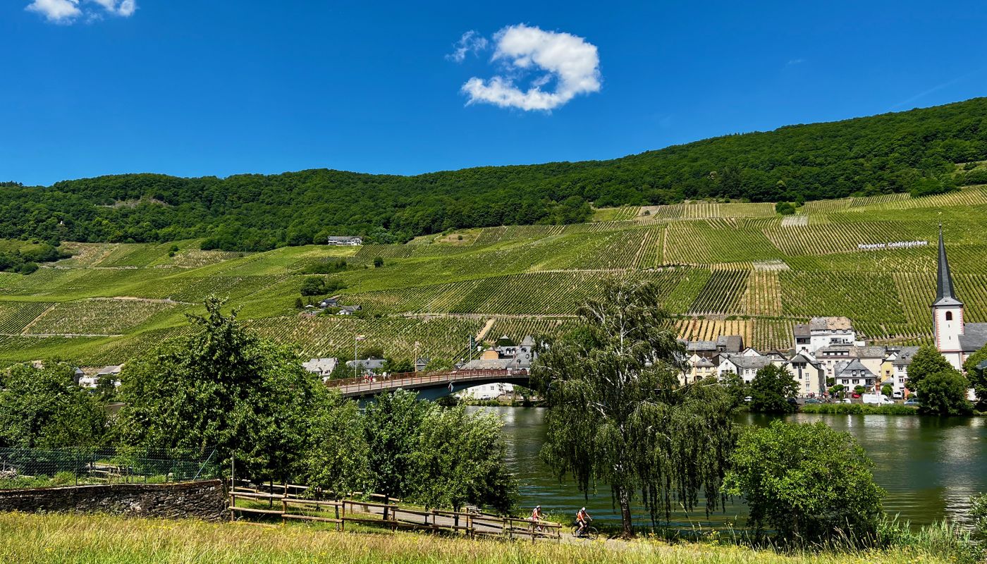Piesporter Goldtröpfchen vineyards
