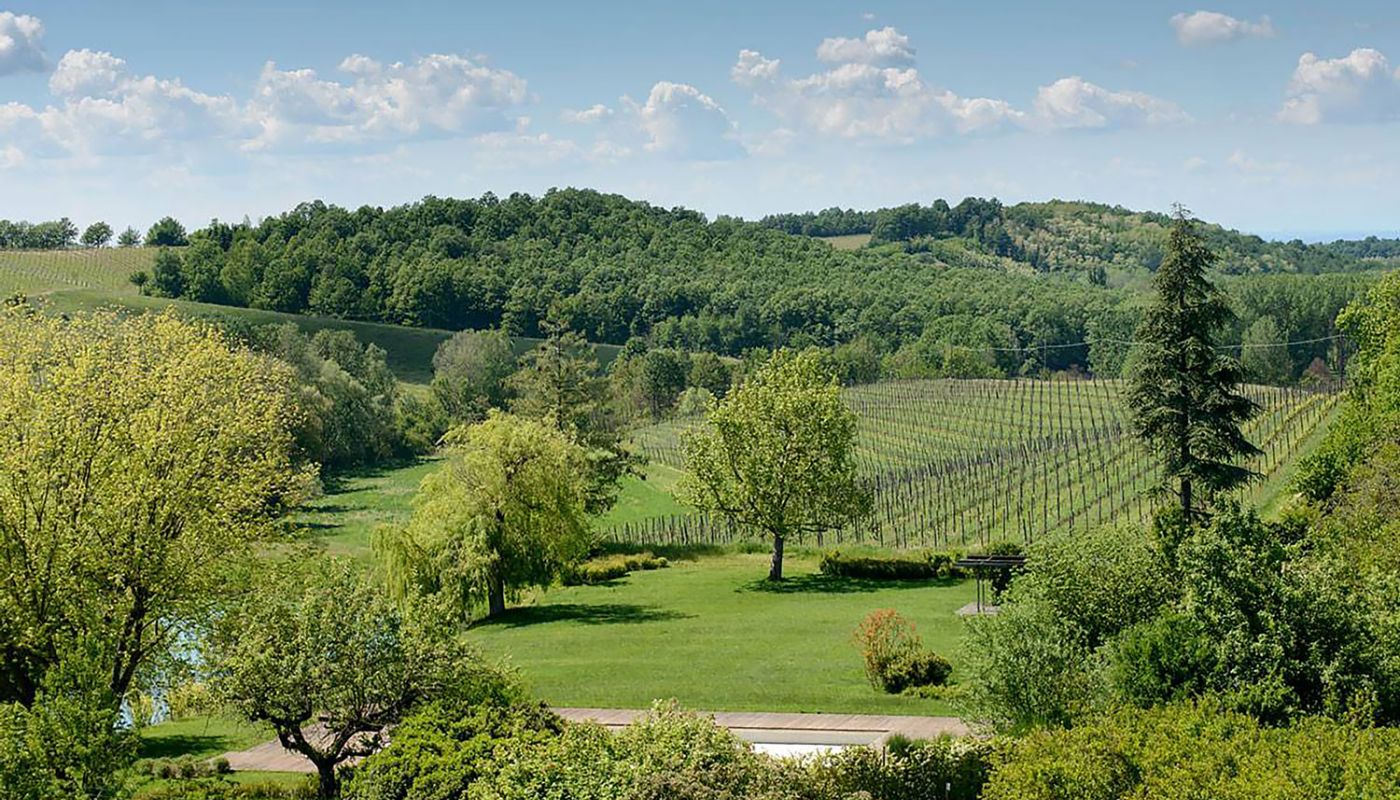 La Raia's vineyards in Gavi, Italy