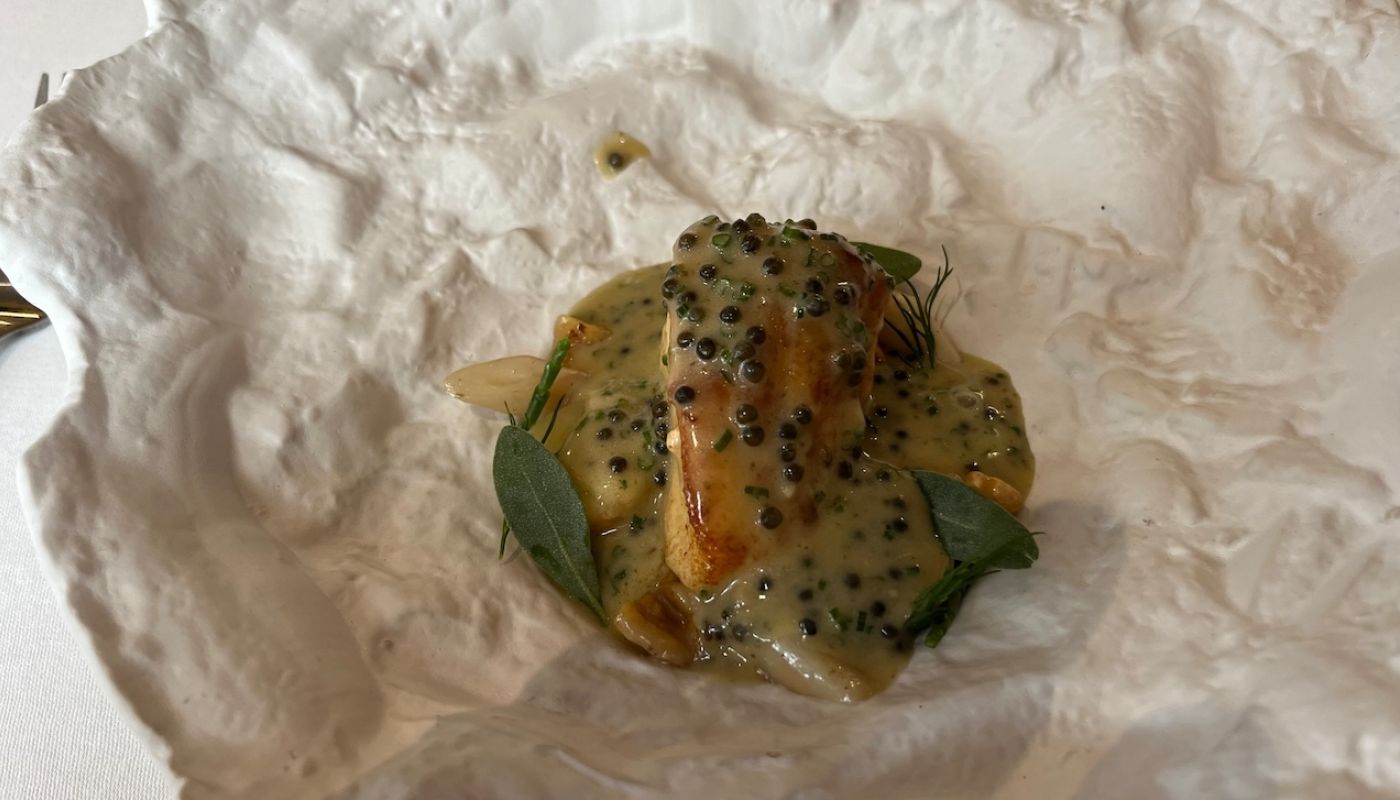 SOLA turbot
