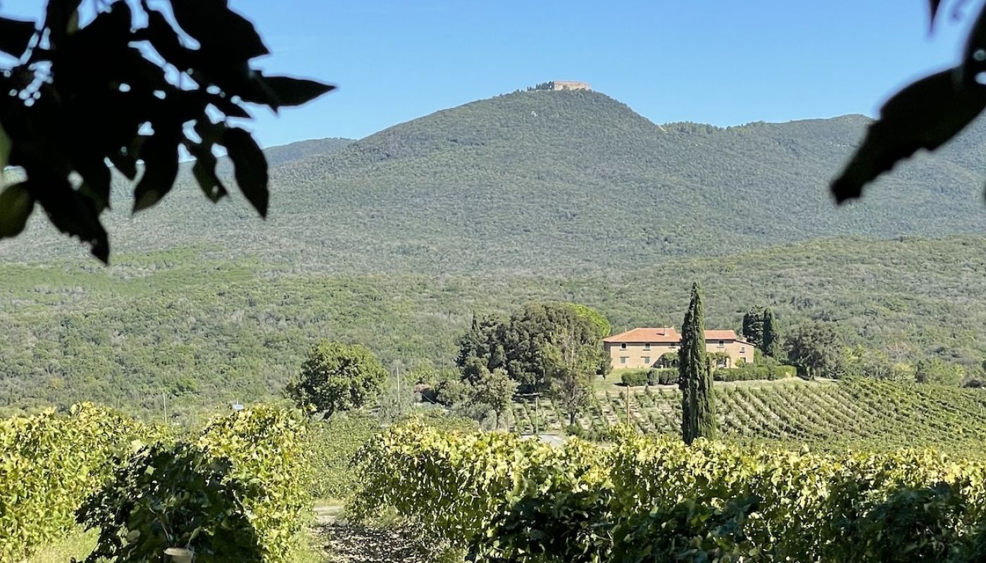 View from Poggio Lamentano over Grattamacco to Castiglioncello di Bolgheri