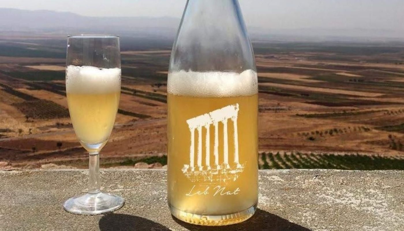 Couvent Rouge's LebNat looking out over the North Beqaa, Lebanon. Credit- Lettie Fardon